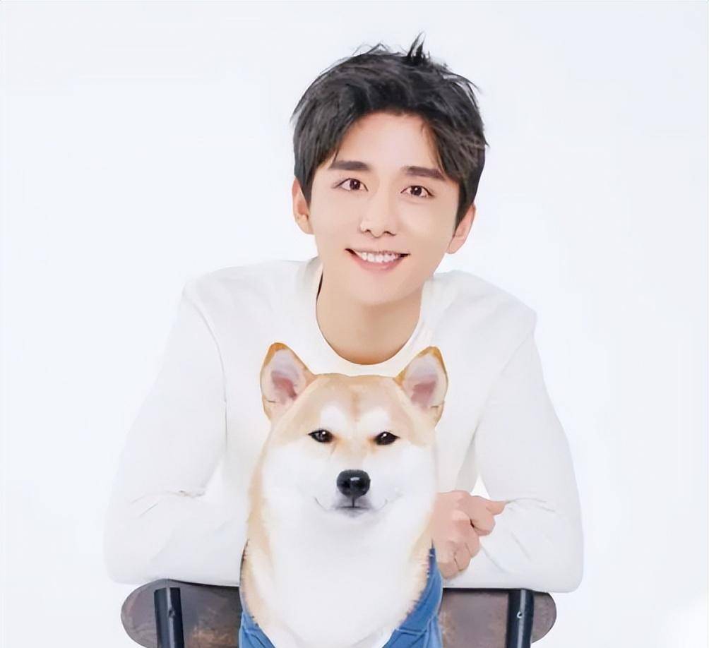 何炅撒贝宁一路保送,张新成被高校抢,他们少年时有何"背景"_时候_工作