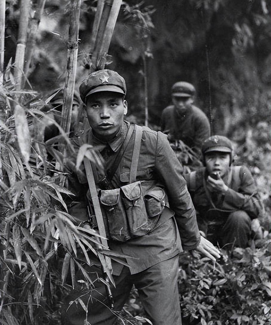 断药,伤兵死在担架上,发现越军仓库士兵齐齐大哭_越南_中国人_战争