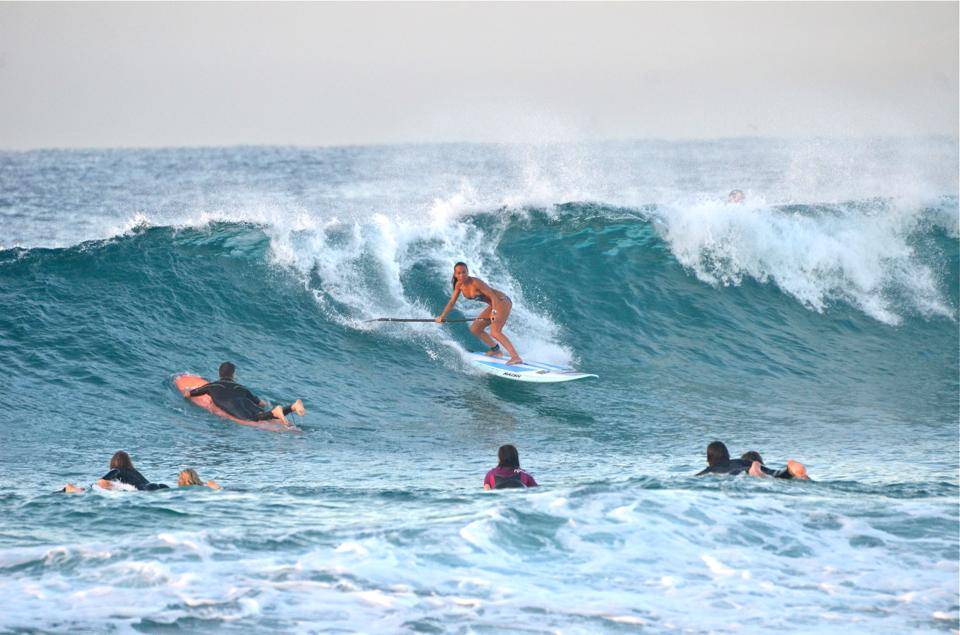 冲浪者的天堂:澳大利亚悉尼的悉尼港大激流和冲浪胜地_海滩_城市_自由
