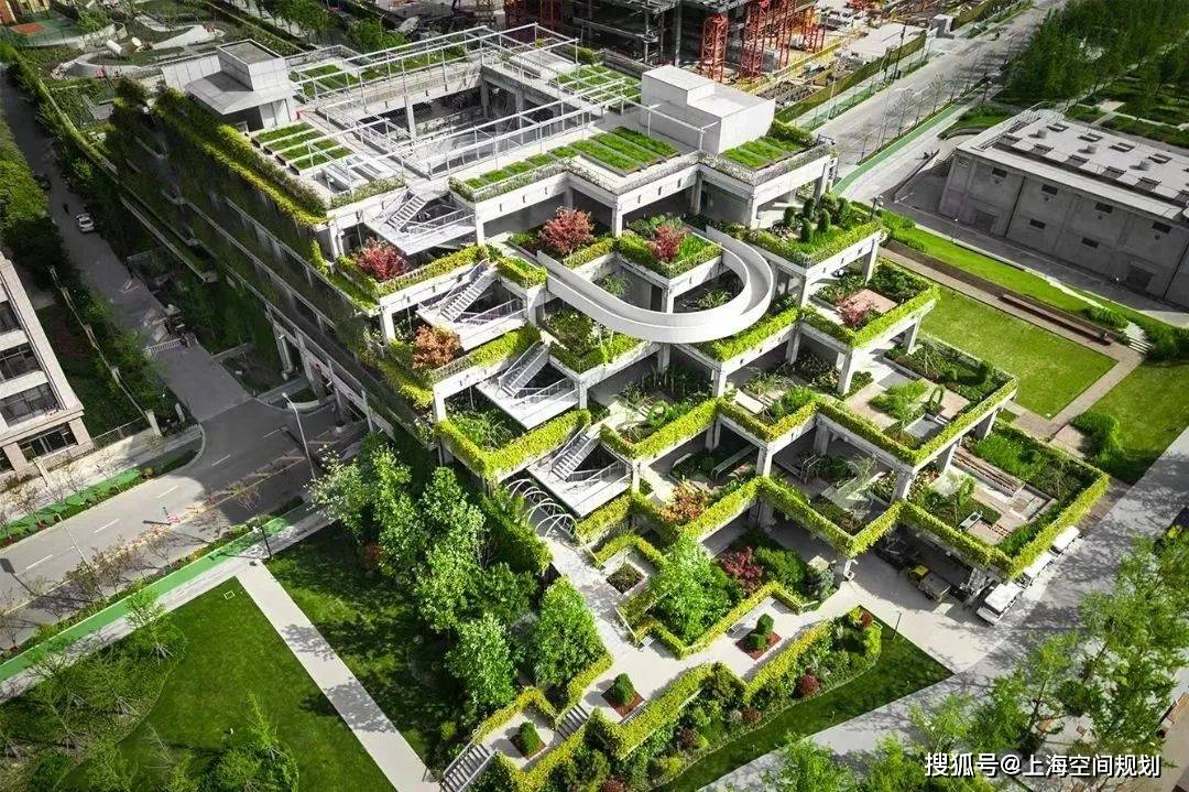 上海又一"空中花园"落地,立体绿化如何助力"花园城市"?