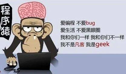 好学星城：程序员入门应该从哪里开始，需要什么学历？