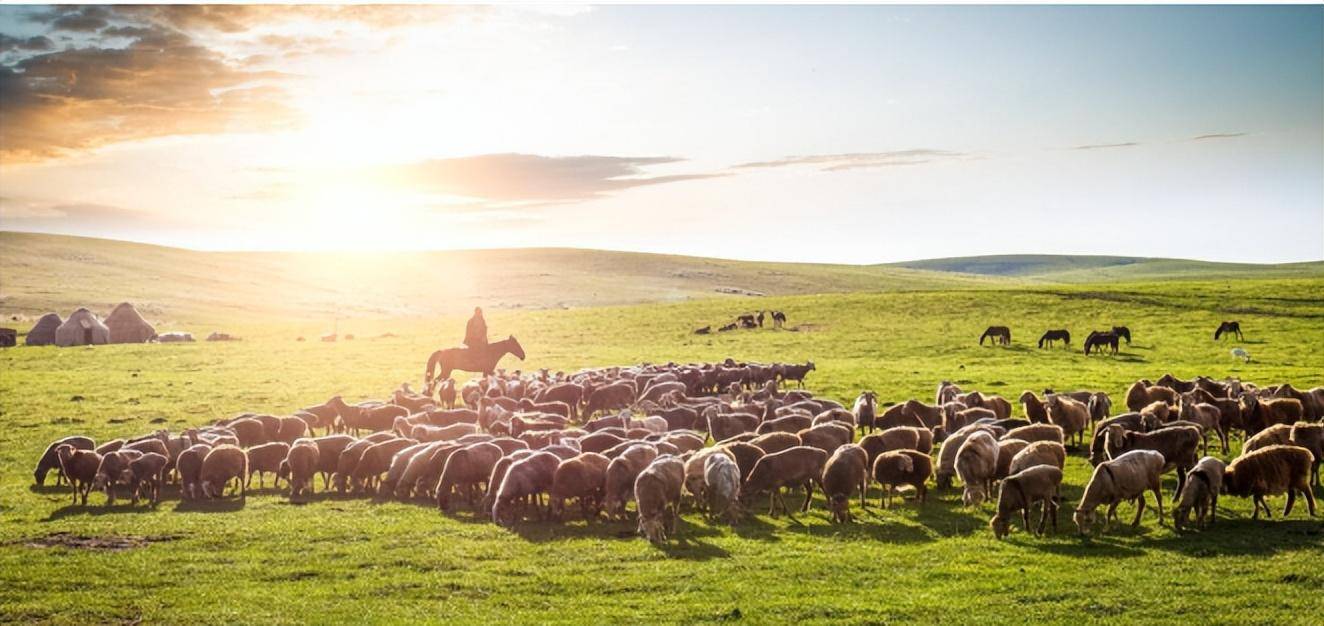 游牧民族天天吃肉长得壮,本文给你算算,他们一年到头能吃多少肉_部落