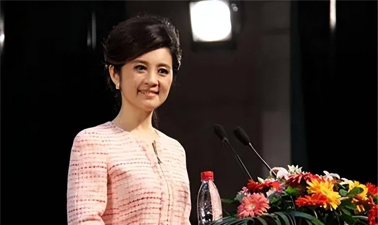 与原配摊牌后离婚,2个孩子都归前妻_丁健_许戈辉_肖桦