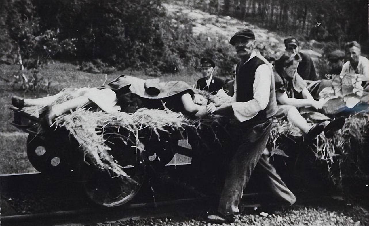 沃伦大惨案:二战期间乌克兰民族主义者报复性屠杀波兰超10万人_利沃夫