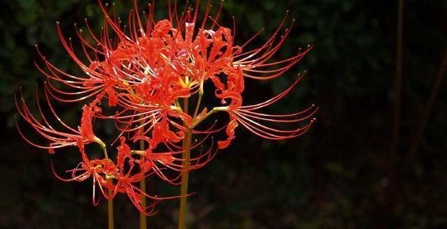 《寻龙诀》导演乌尔善:你到底有没有请陆川吃饭?_电影_什么_造型