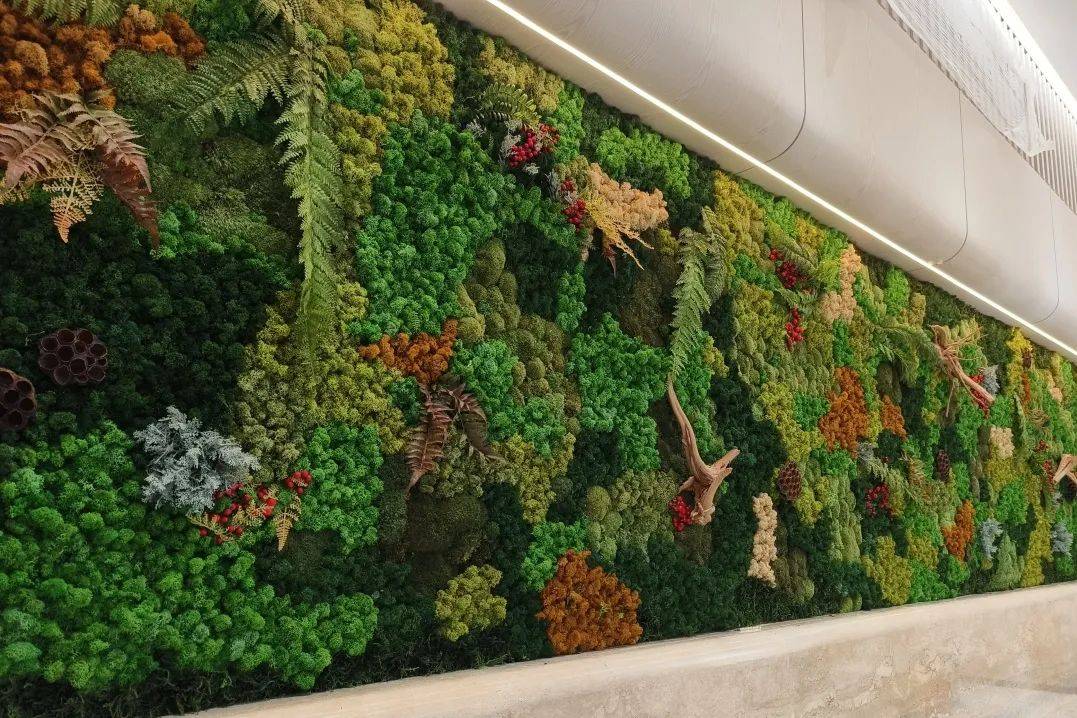 负离子永生苔藓植物墙:轻松打造绿意盎然的健康空间_办公_应用_国际