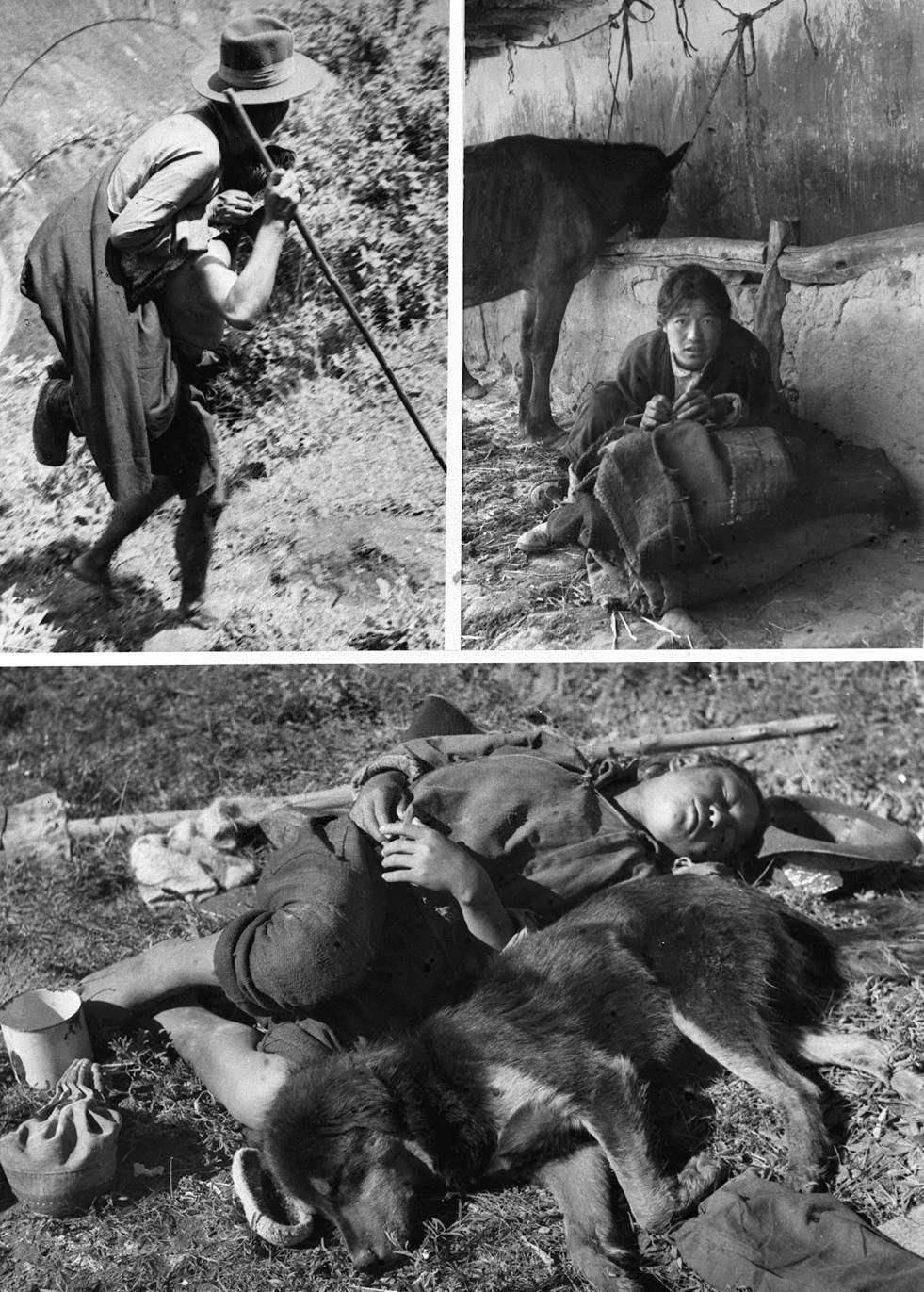 低头爬行,命与地里牦牛无异_地主_压迫_因为