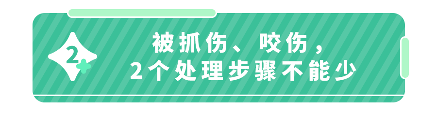 哪些情况下狂犬疫苗非打不可？