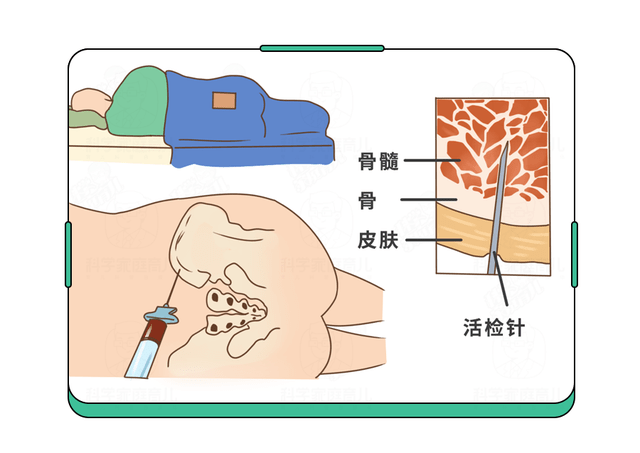 10岁白血病小女孩离世前嫁给男友 白血病早期有哪些症状