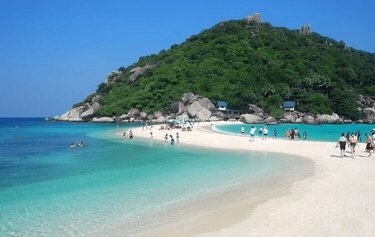 沙滩_度假_海龟