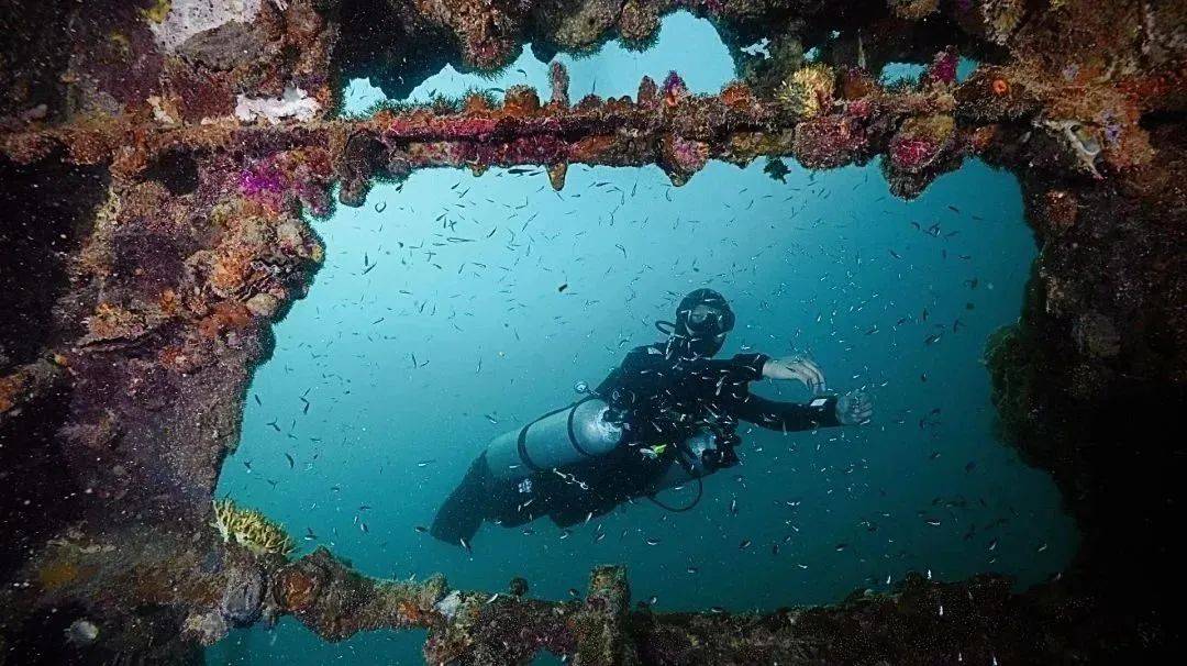 沉船潜水 | 在寂静之海直面二战遗迹_科隆_来源_课程