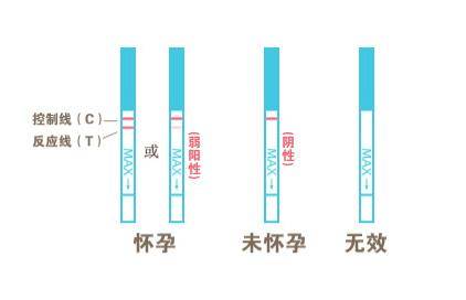 怎么可以错过（验孕棒会测出来假怀孕吗）验孕棒有可能验出假怀孕吗 第3张