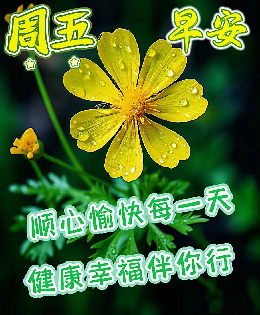 8月11日周五早上好祝福语表情图片大全问_生活_问候_心情