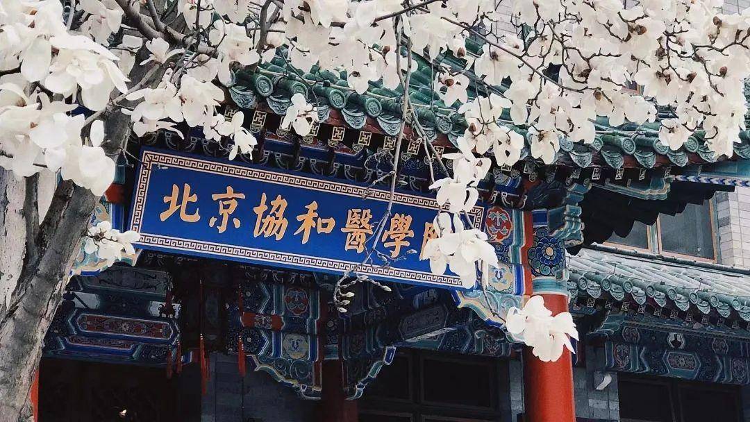 放弃了读清华大学医学部的机会,优先选择报考四川大学华西医学中心