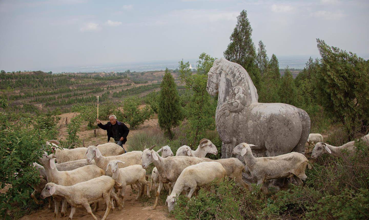 唐陵与村民_吴为_泾阳县_礼泉