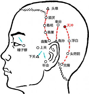 头部经络图 膀胱图片