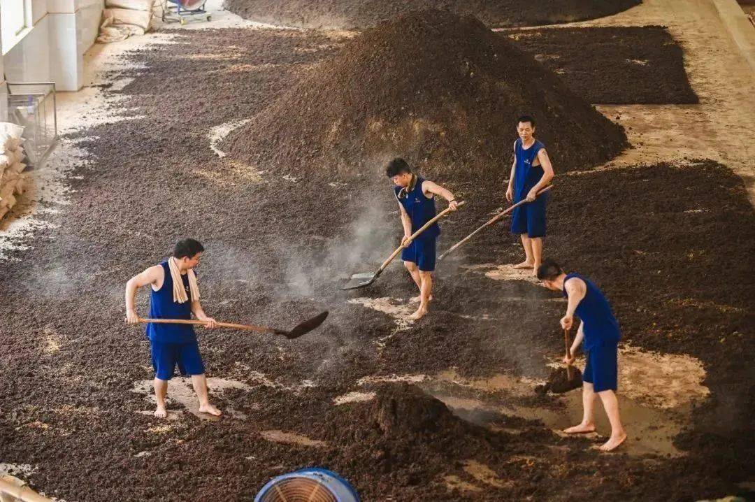 坤沙酒一定代表好酒吗?赶紧来看看!_酿酒_程度_工艺