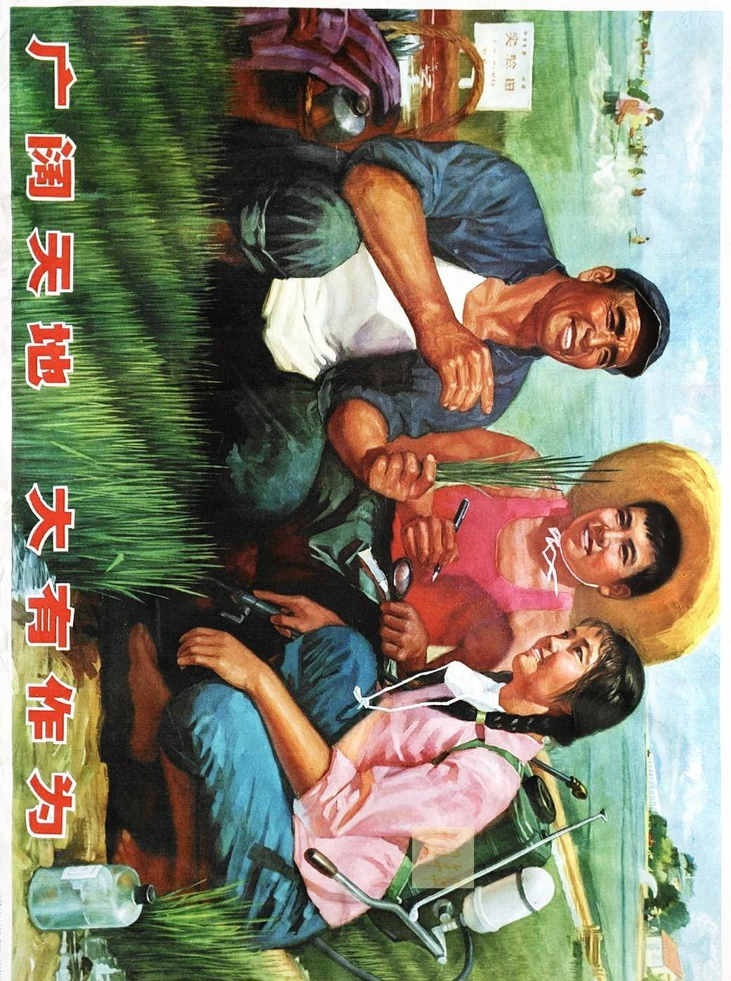 上山下乡知识青年题材宣传画,对过来的人有着刻骨铭心的印象_年画_画