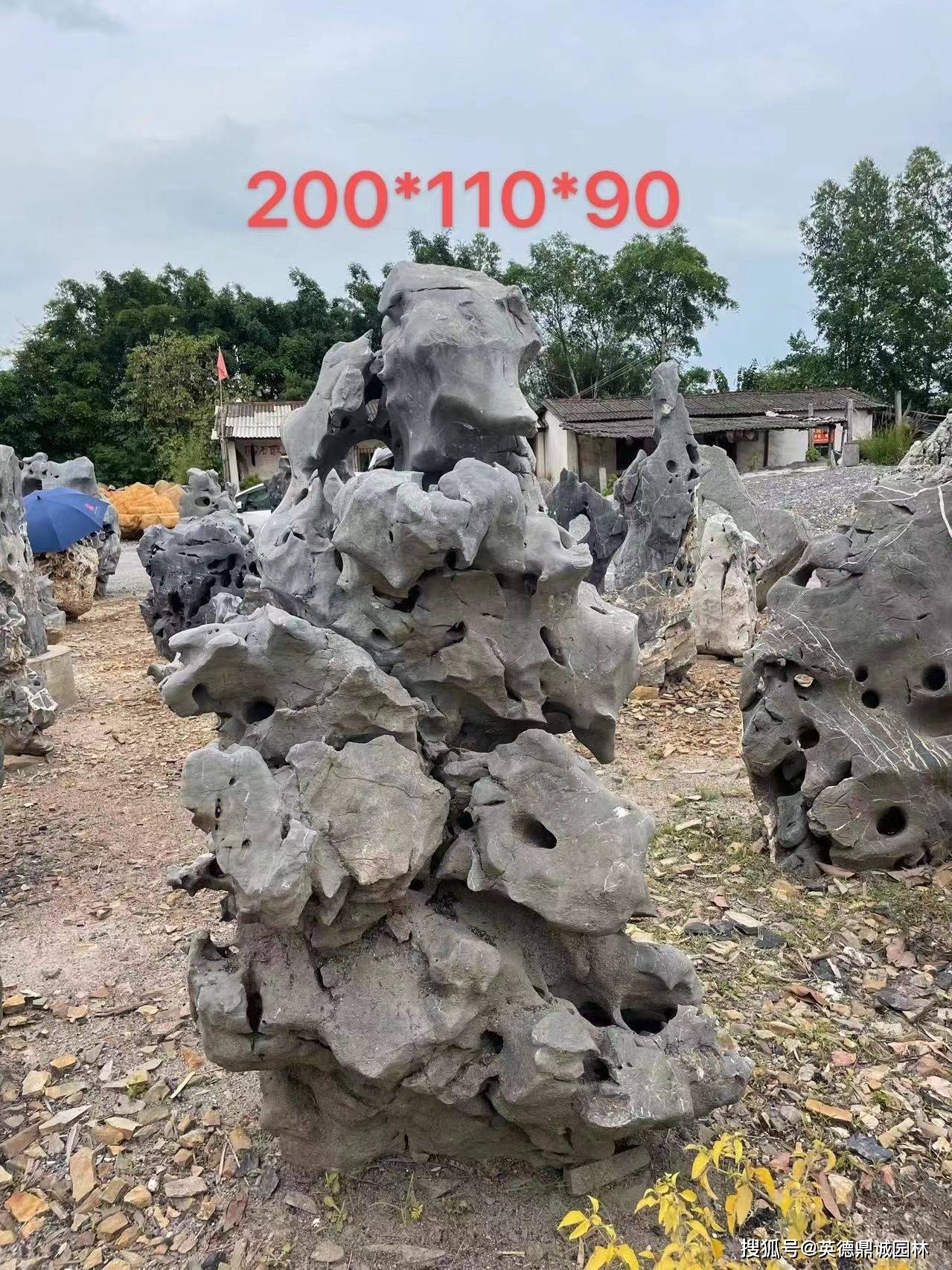 古式园林放置石太湖石，玲珑石窟窿石原石_搜狐网