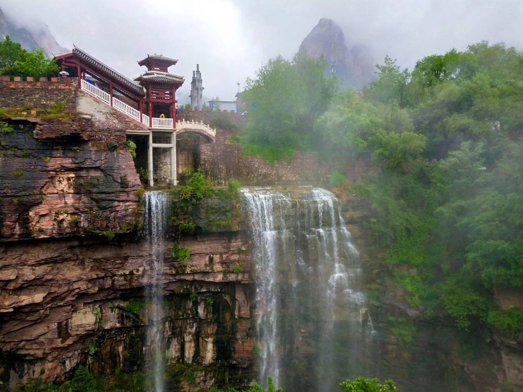 江西九连山首现"沙漠人参",多年生一茬,全球仅两处_广东_自然保护区