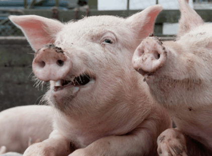 民族_村民_古兰经