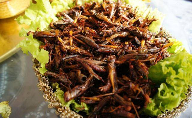 巴基斯坦蝗虫成灾,农业部长笑嘻嘻称没威胁,让大家做咖喱多吃点_视频