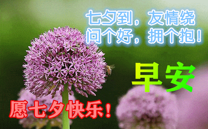 2023最新七夕情人节动态表情图片,七夕快乐祝福语句子