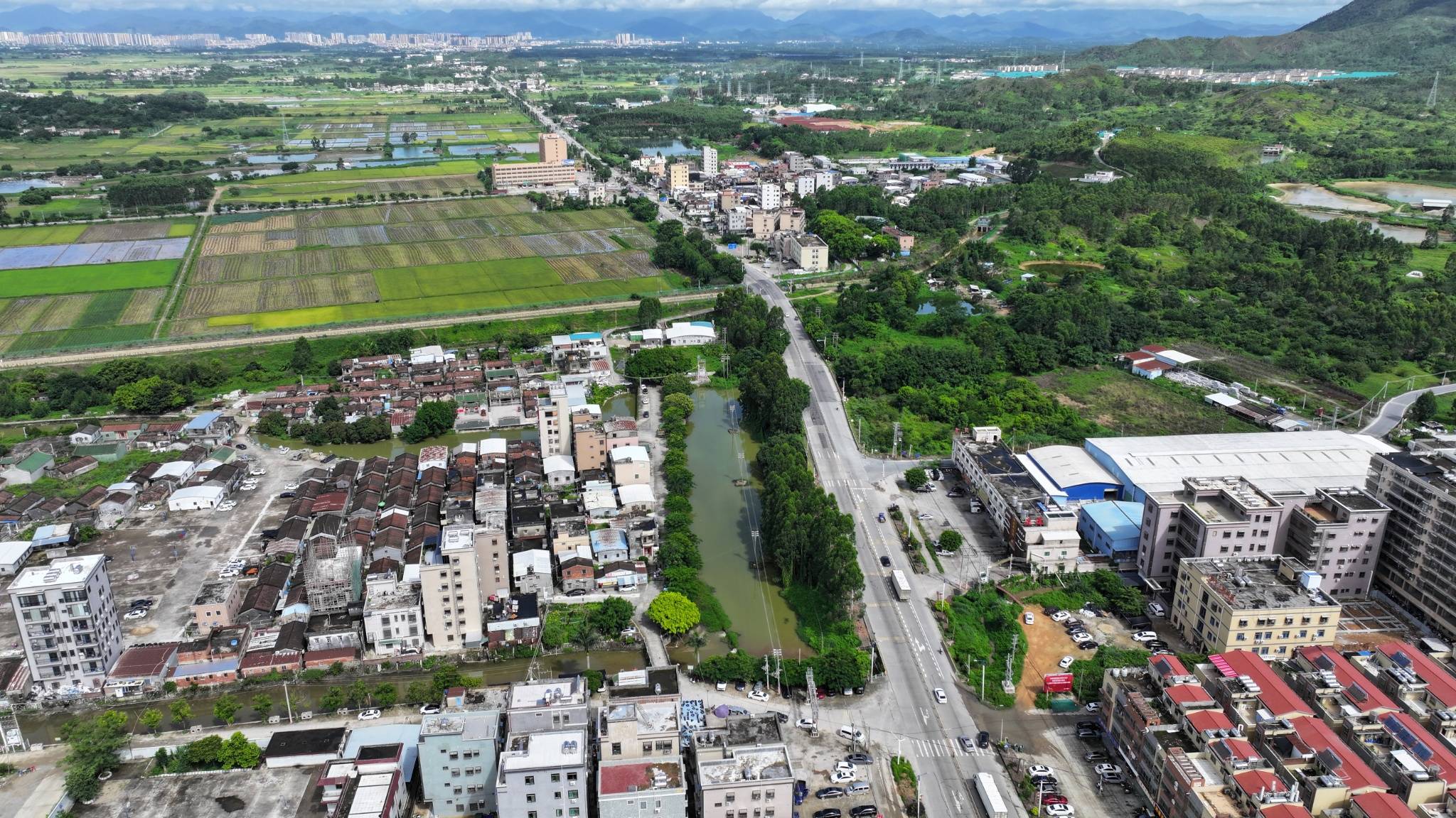 海丰县可塘镇"珠联碧禾"乡村振兴示范带四区融合  助力可塘美丽圩镇"