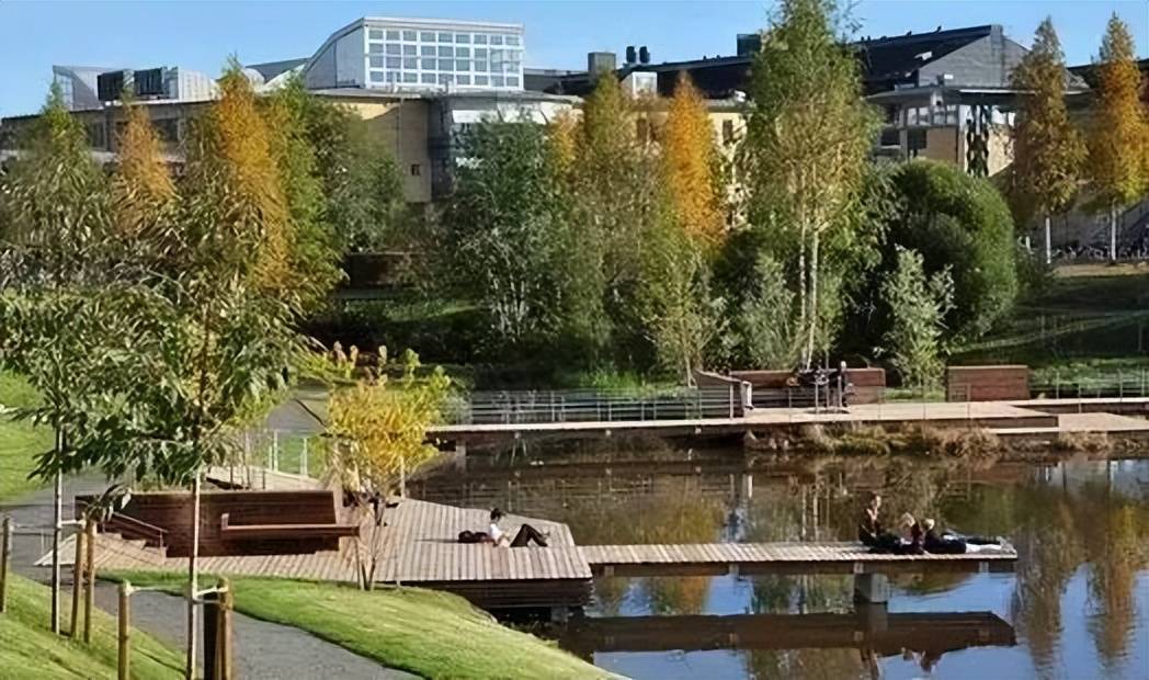 浅浅水,长悠悠——不可错过的校园景观水体设计_水景_空间_植物