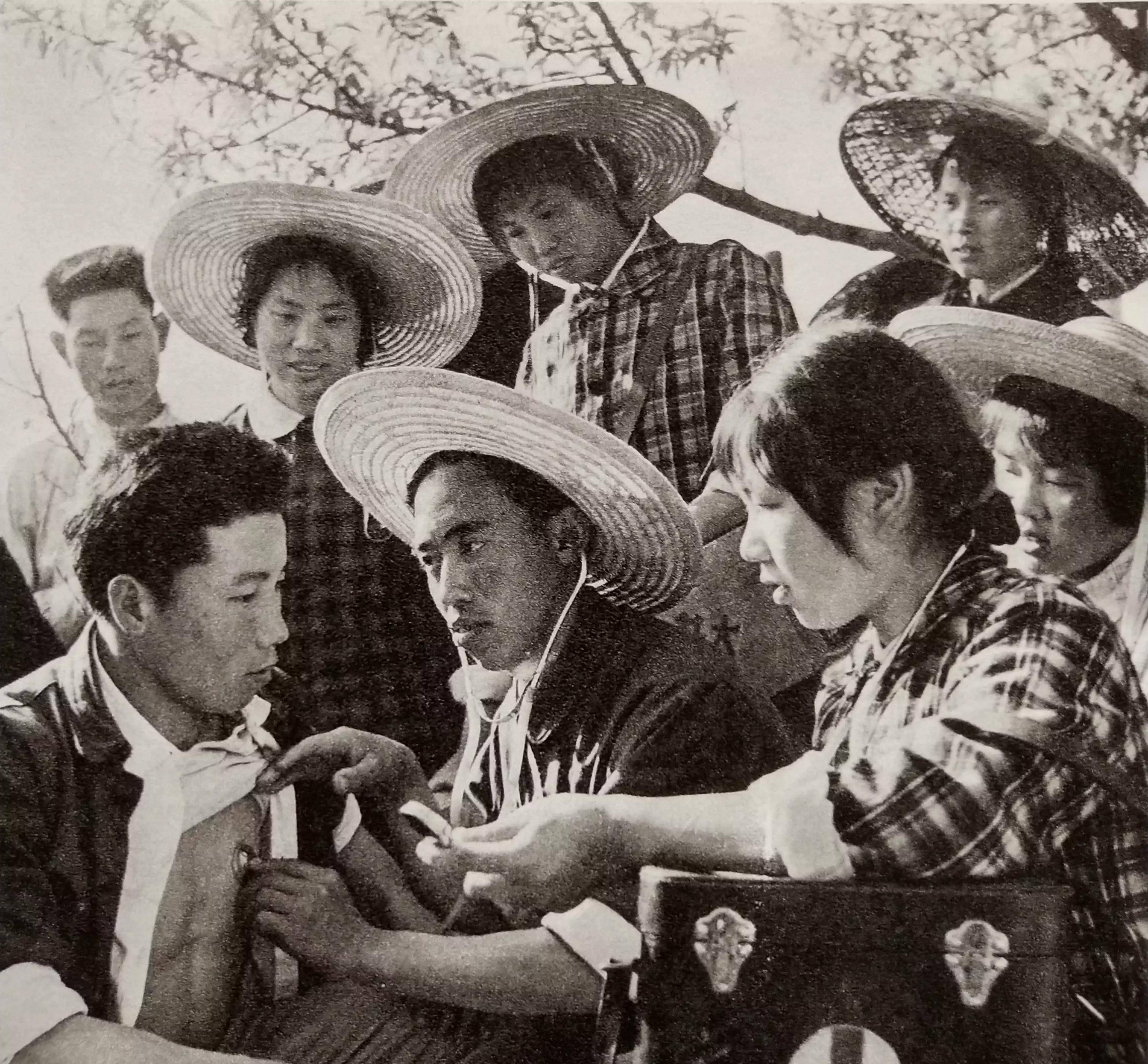 70年代记忆(20)-怀旧图片欣赏_农业_劳动_革委会