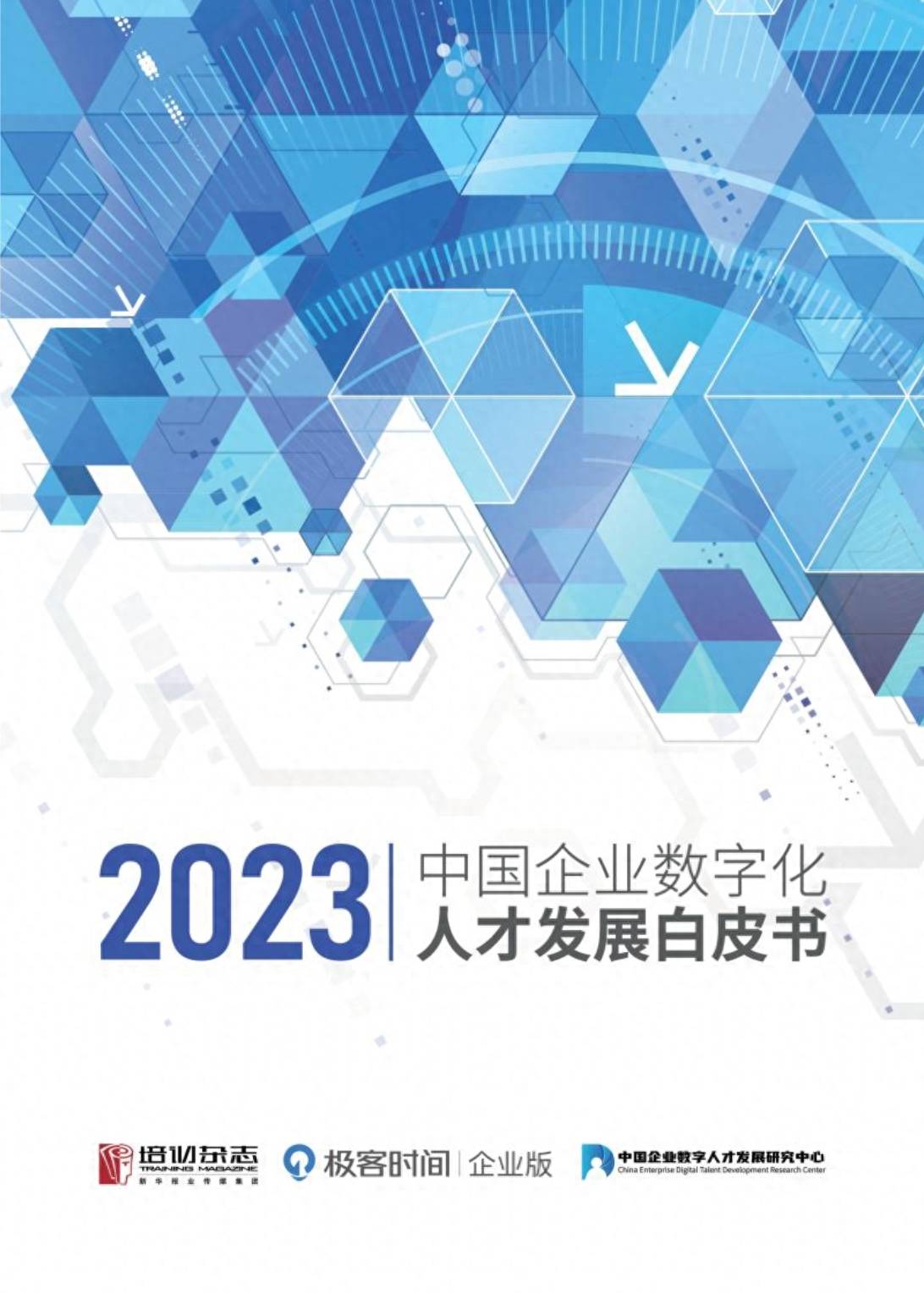 InfoQ：2023中国企业数字化人才发展白皮书