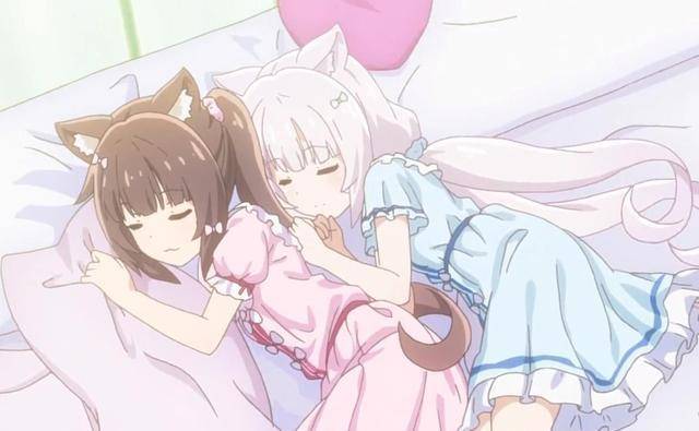 对日漫猫娘的错误认知:你以为只有两只耳朵,不,人家有四只!