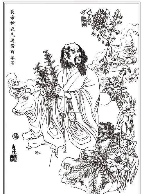 植物_人们_氏族