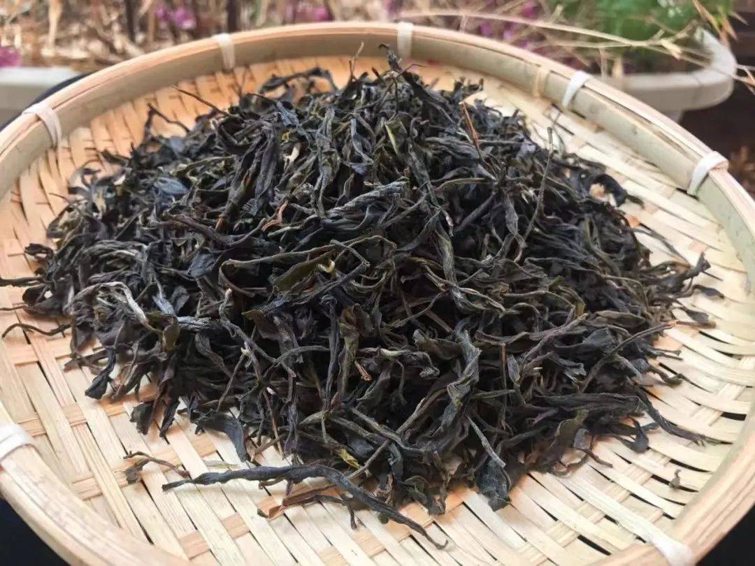 茶】第340期:老徐带你了解名山名寨系列之白莺山67_本山_茶树_山茶