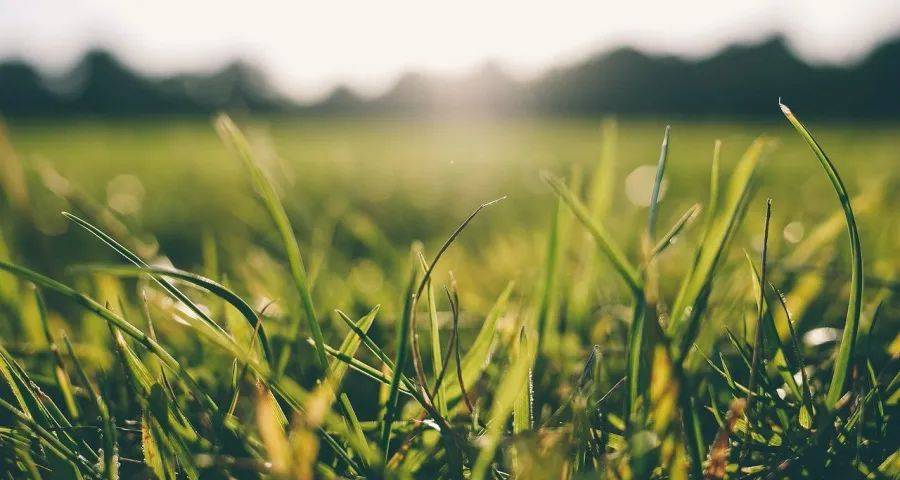 现在家电厂商任务艰巨但目标清晰-家电圈官网