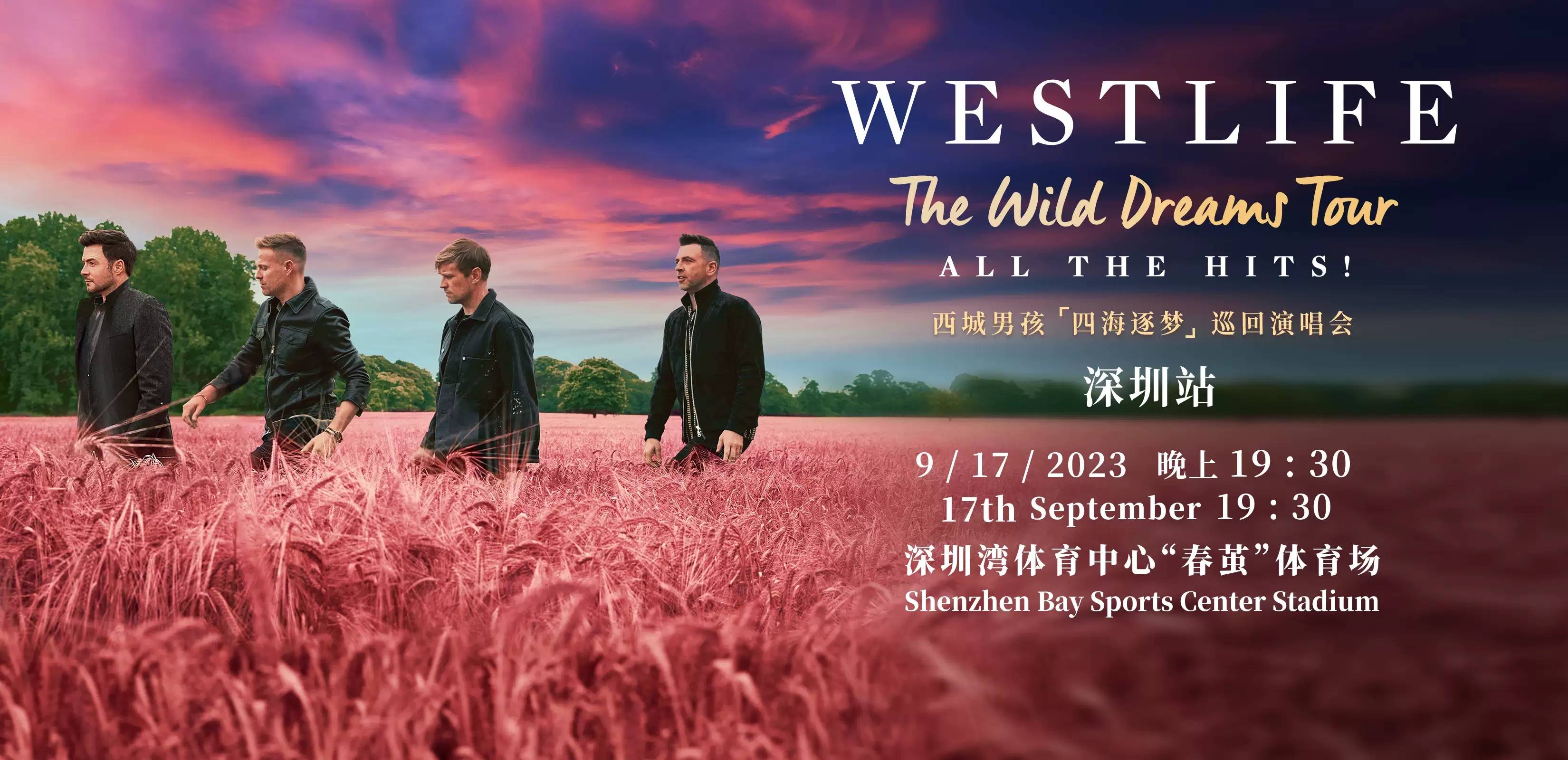 西城男孩深圳世界巡回演唱会门票(河马票务)_you_so_歌曲