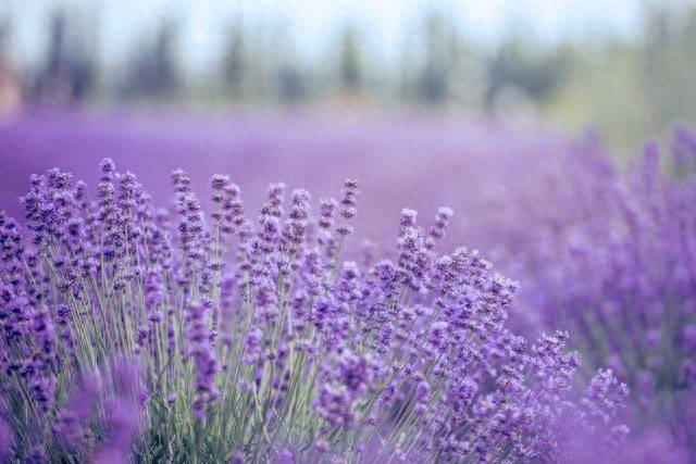 原创            唯美的爱情，伤感的思念，无缘夫妻，也会一生想念