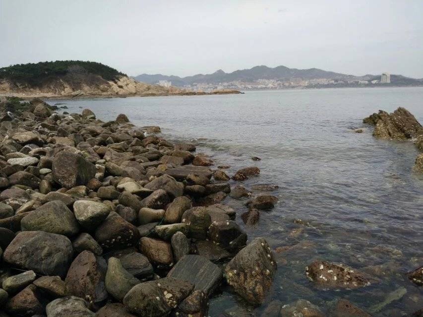 再过2天，四大生肖鸿运当头，鸿运当头，运势持续高涨