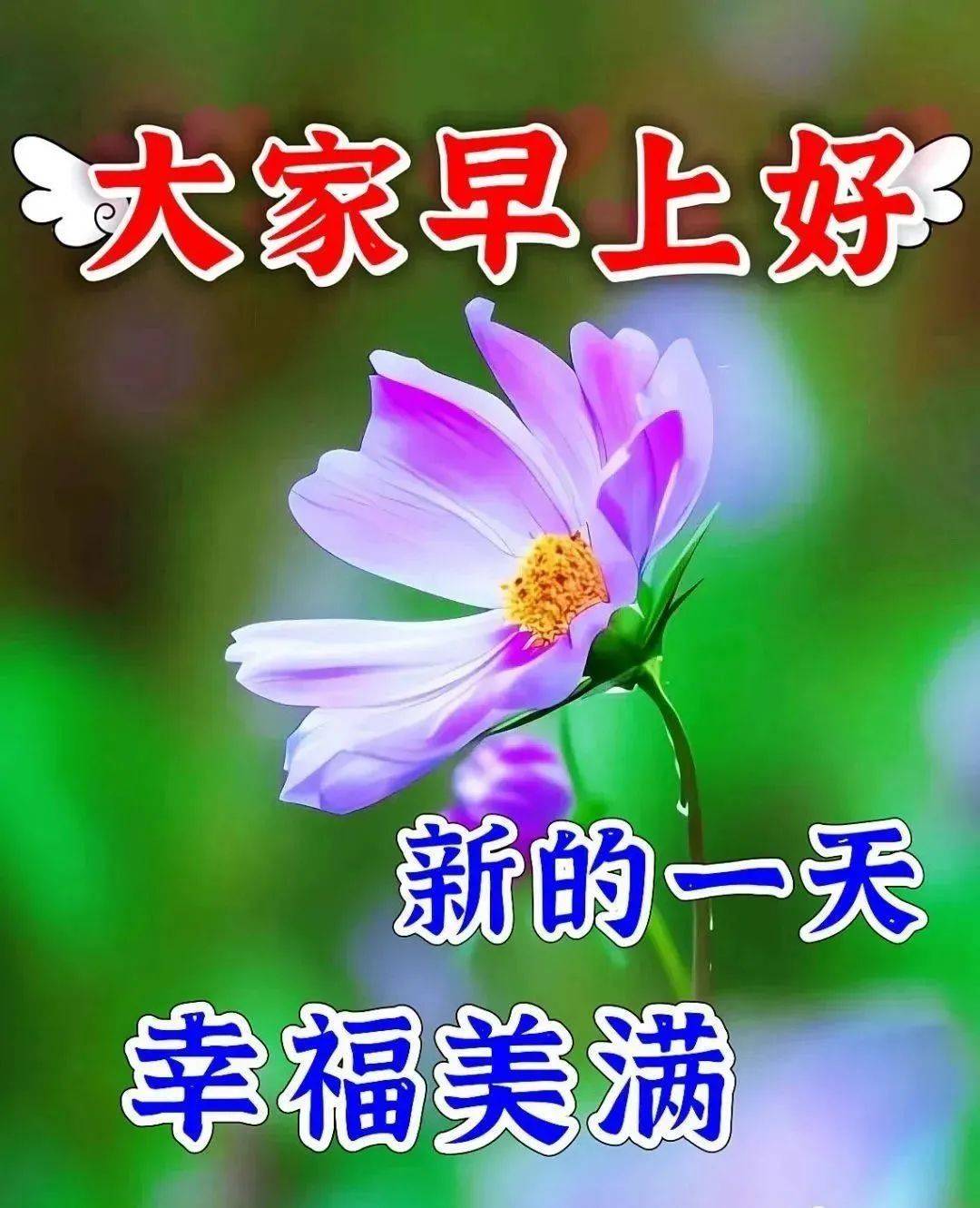 8月29日周二早上好,好看祝福语图片大全