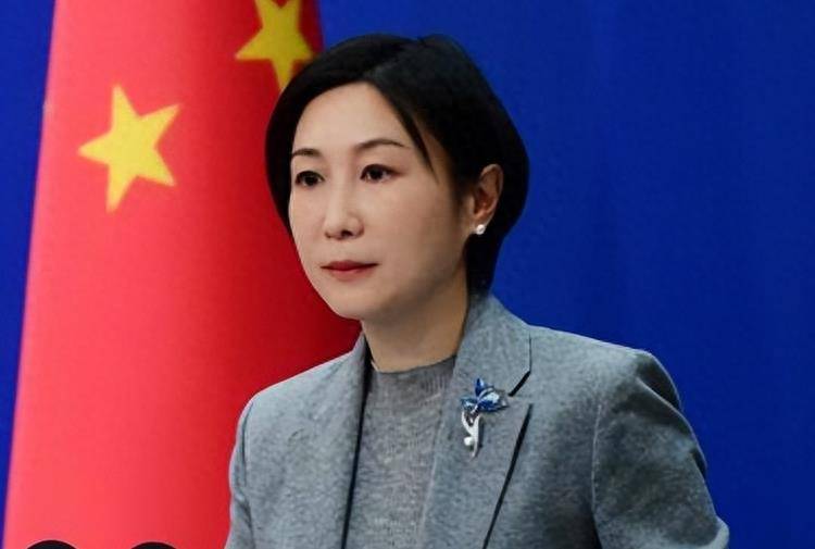 "最美外交官"毛宁:妆发精致干练,西装得体,优雅高级_女性_气质_职场