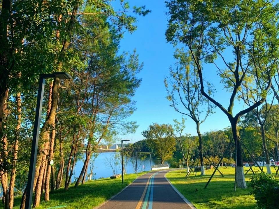 成都一座高颜值的森林公园,宛如童话里的绿野仙踪,拍照巨美_永安_娱乐