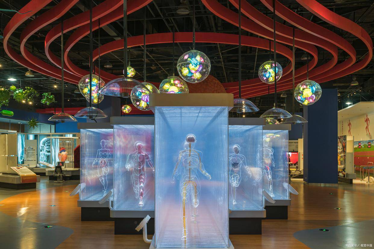 「每日科普」——人体生命科学馆_教育_互动_医学