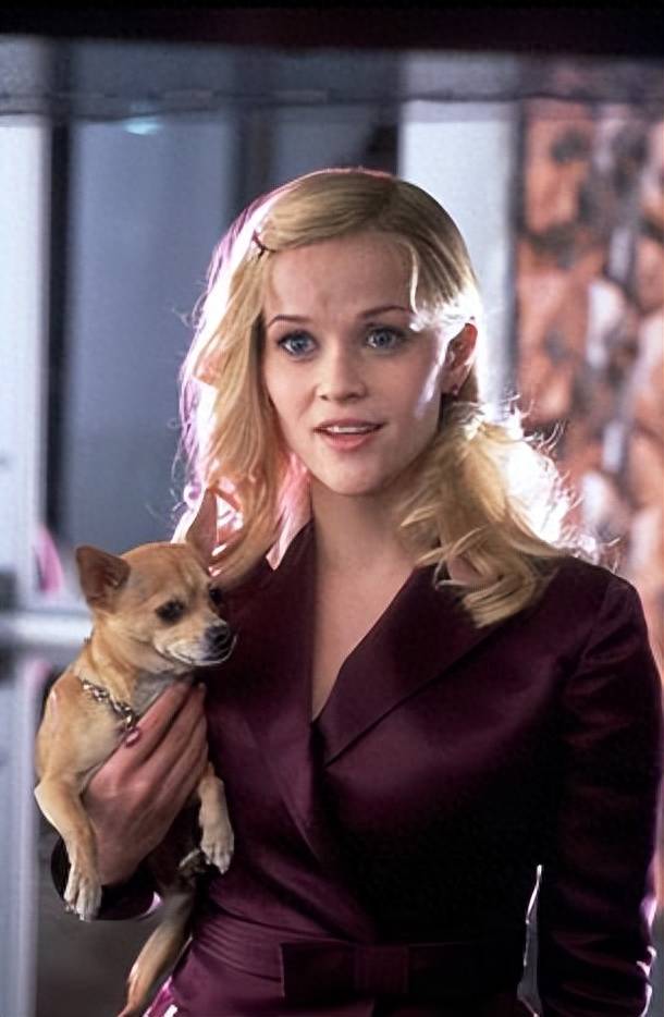 《律政俏佳人》系列完美展现了真人电影中的类芭比形象构建_时尚_女性