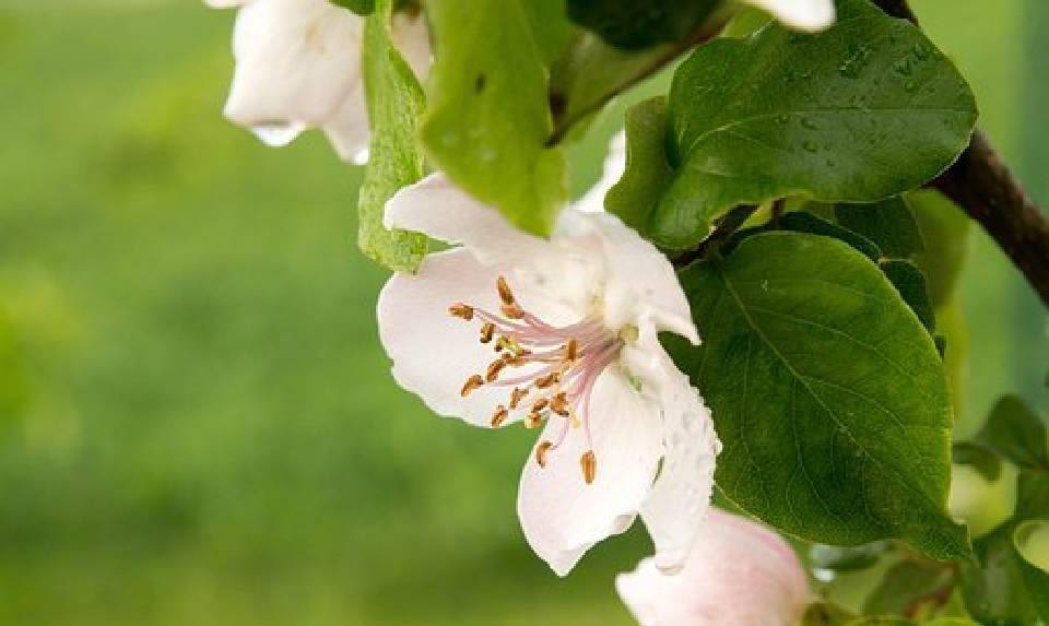 简短又优美的句子，每句话都有内涵，很适合发朋友圈