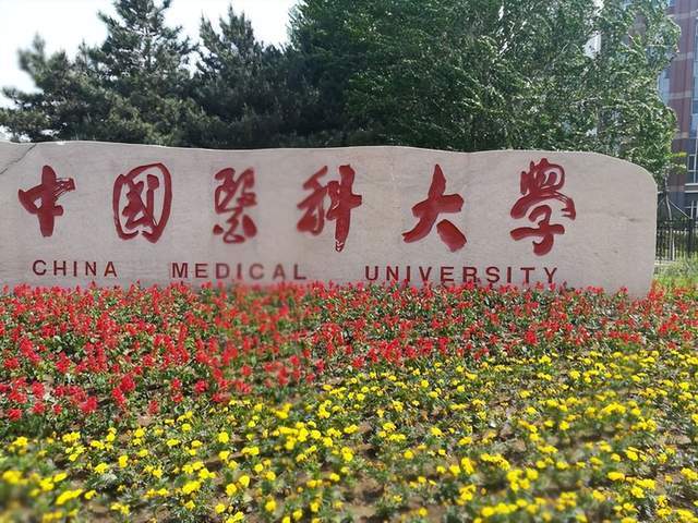 沈阳排行_沈阳2023年最好大学排名:东北大学稳居第一,中国医科大学排第2