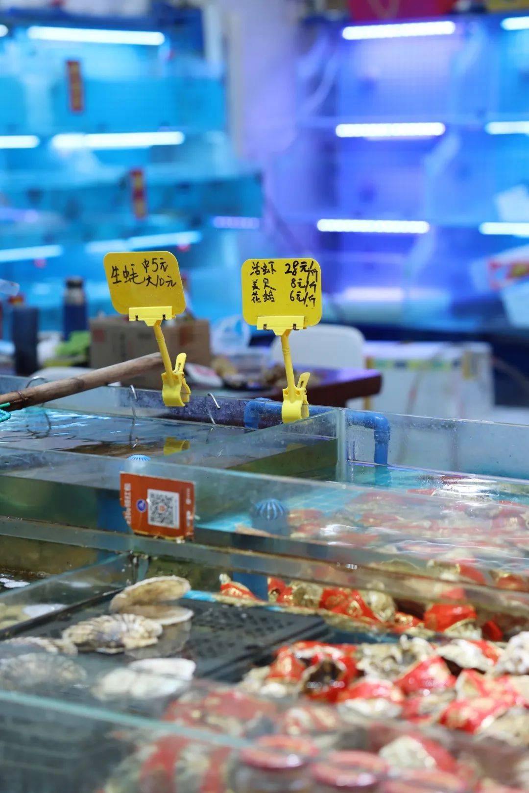 日本核污水排海一周后,西安海鲜市场实探!_水产品_价格_方欣
