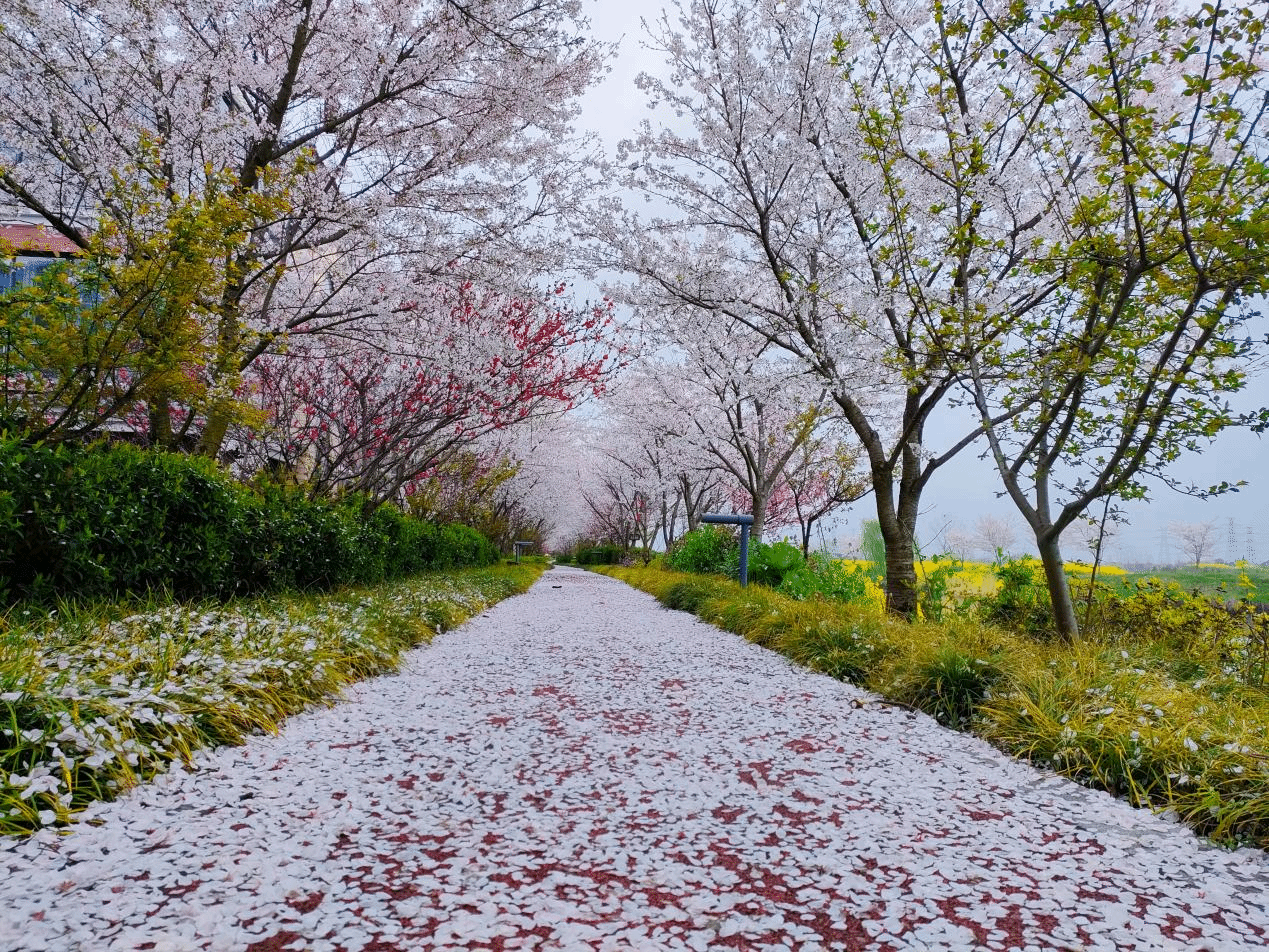 打卡"中国美丽休闲乡村"湖州市向阳村,在这里体验你想要的生活!