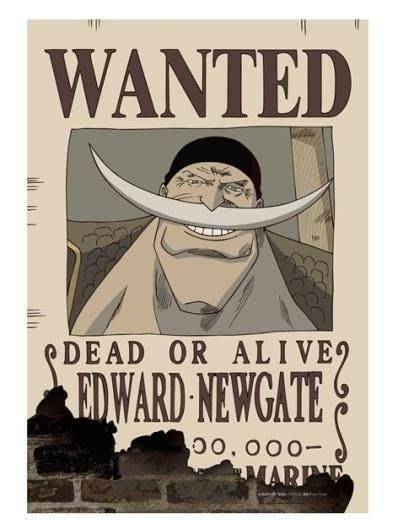 海贼王白胡子香克斯通缉令曝光,角色通缉令海报发售!_赏金_甚平_艾斯