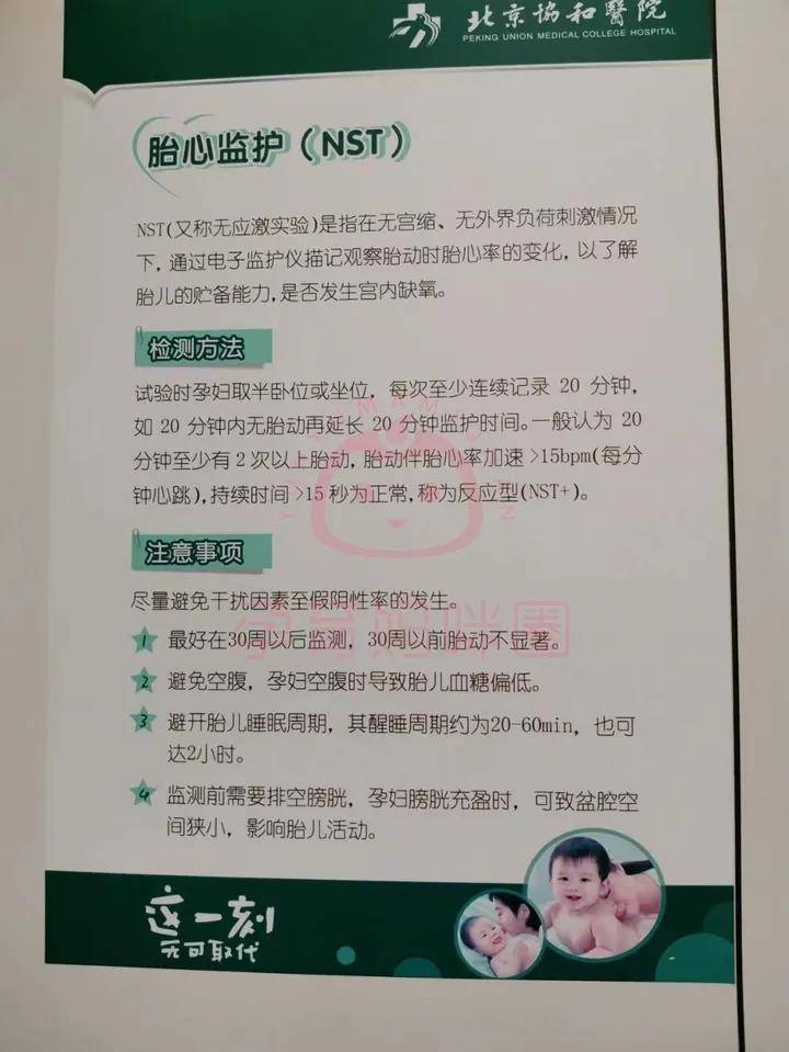 06元8周 1,挂号 b超 挂下次号,费用50 116 50元9周 1,抽血 尿检 心电