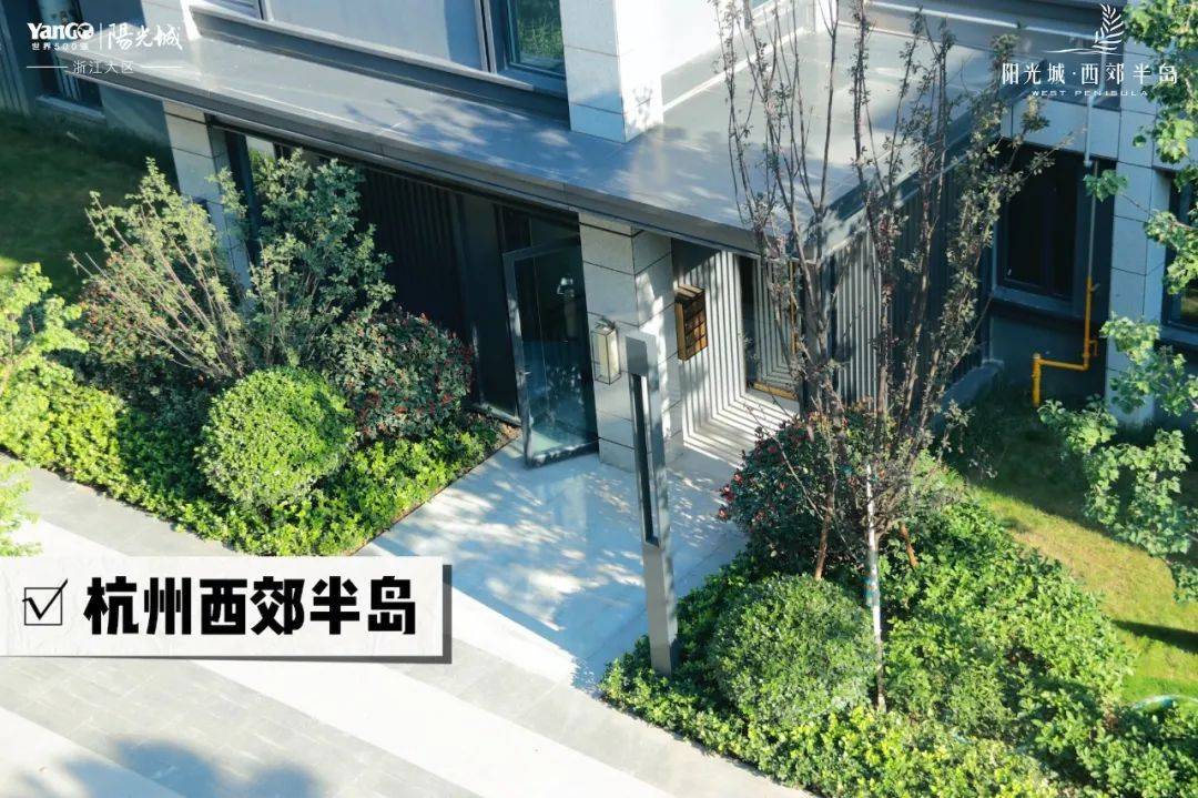 阳光城_项目_业主